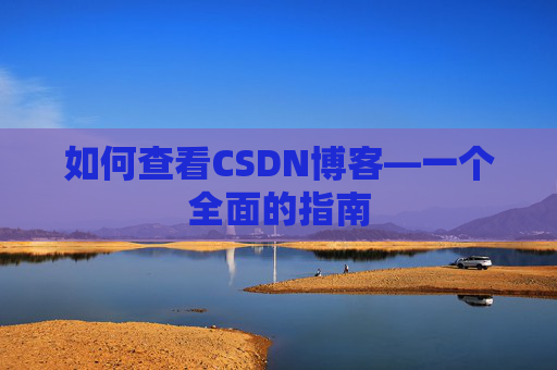 如何查看CSDN博客—一个全面的指南